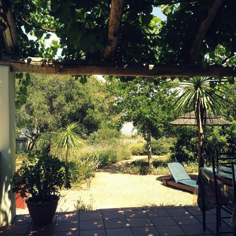 Mooi Bly Vila Paarl Quarto foto