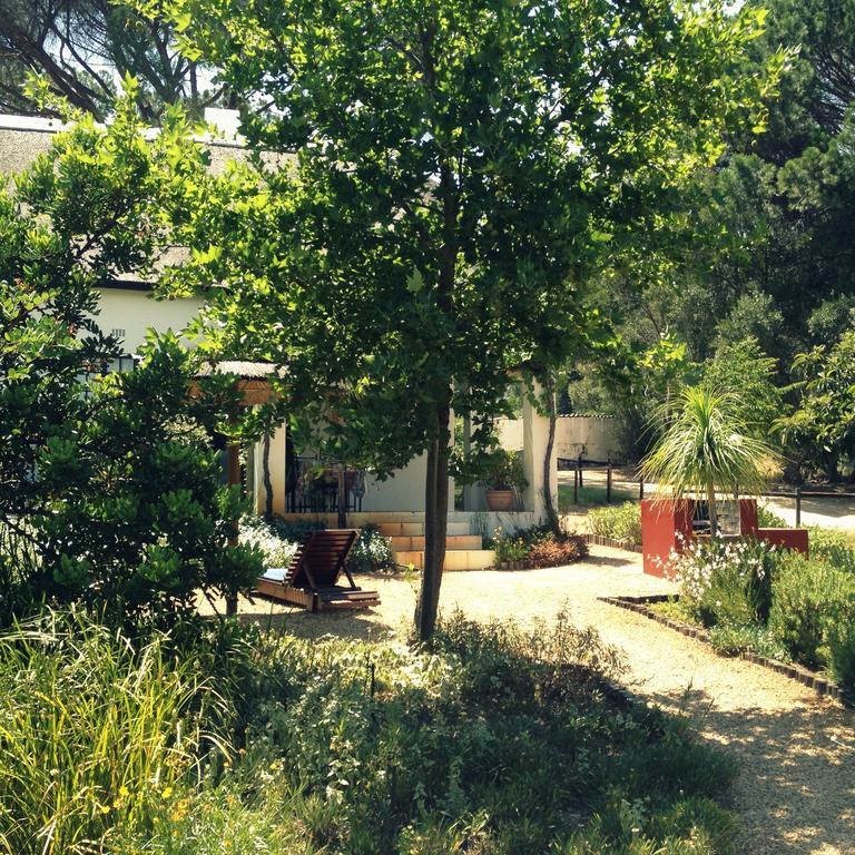 Mooi Bly Vila Paarl Quarto foto