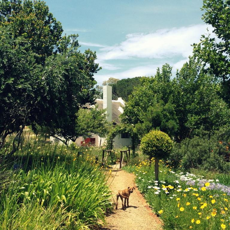 Mooi Bly Vila Paarl Quarto foto