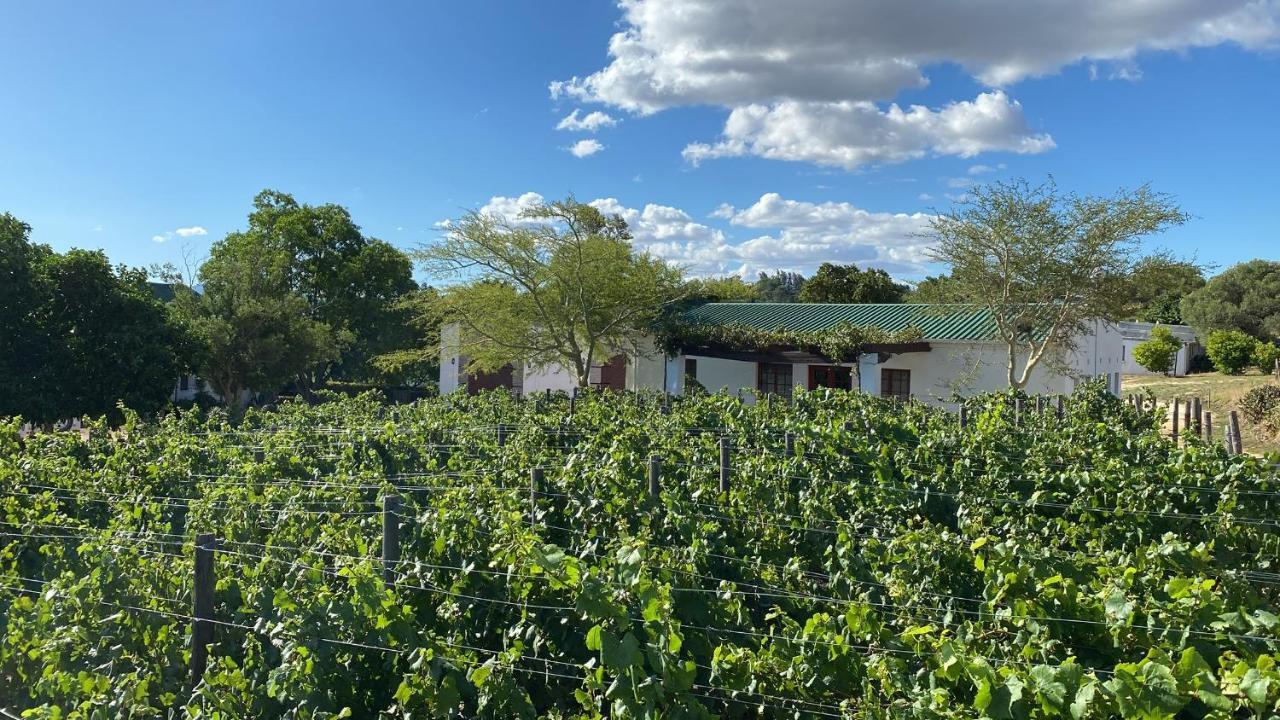 Mooi Bly Vila Paarl Exterior foto