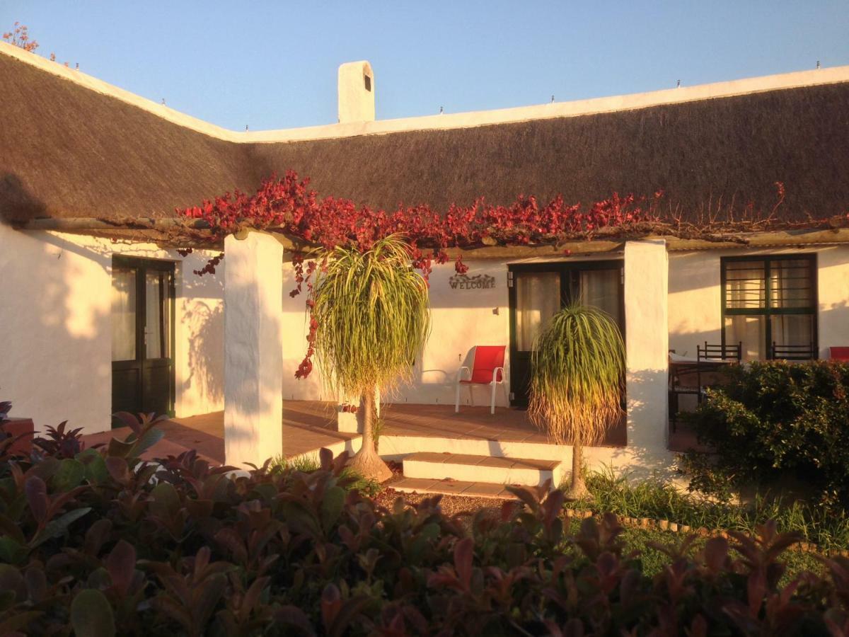 Mooi Bly Vila Paarl Exterior foto
