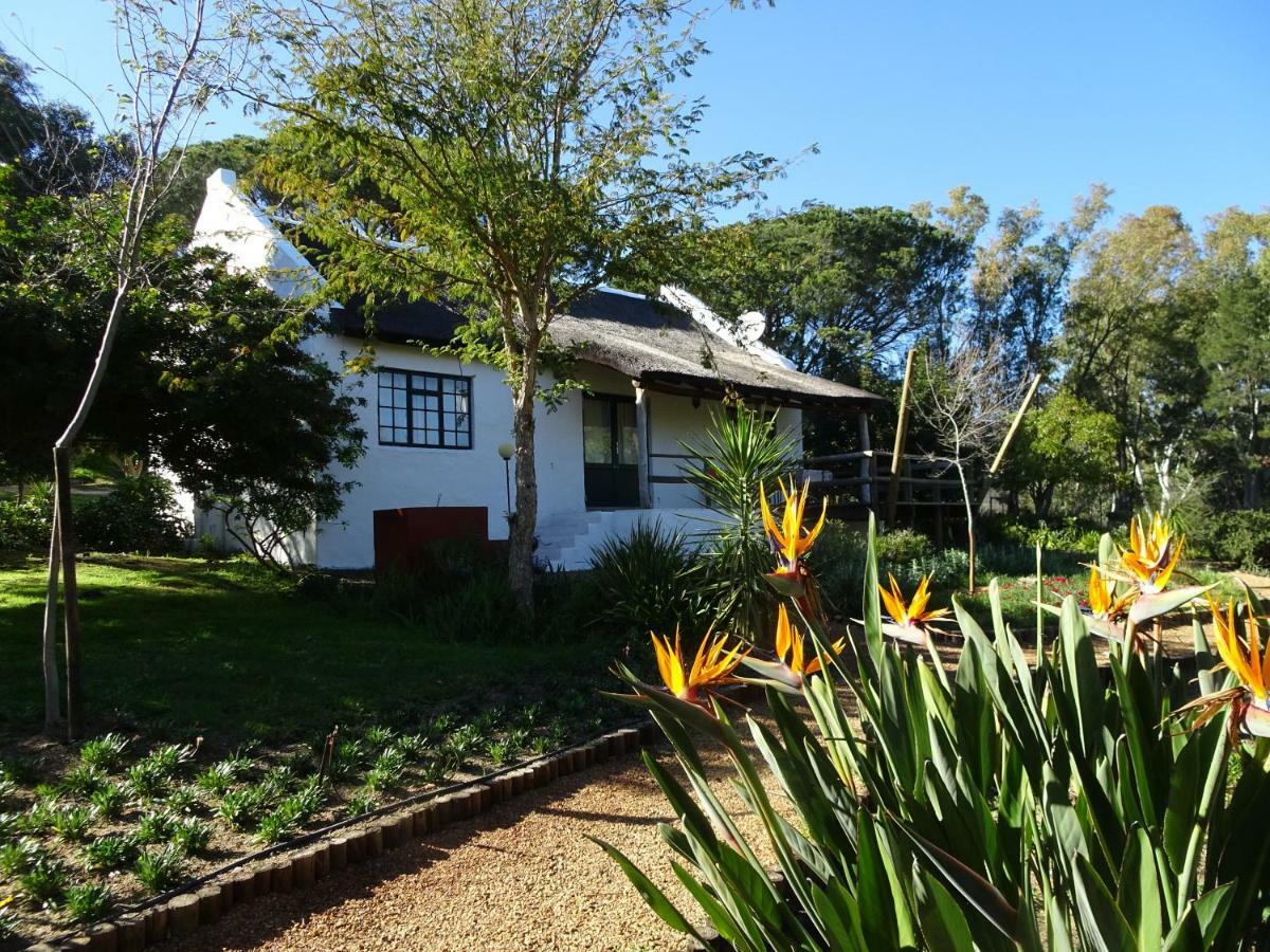 Mooi Bly Vila Paarl Exterior foto