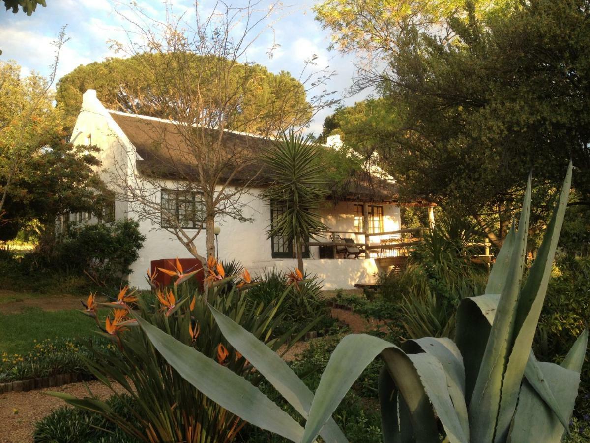 Mooi Bly Vila Paarl Exterior foto